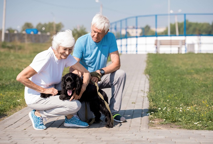 Cuplu în vârstă care plimbă câinele