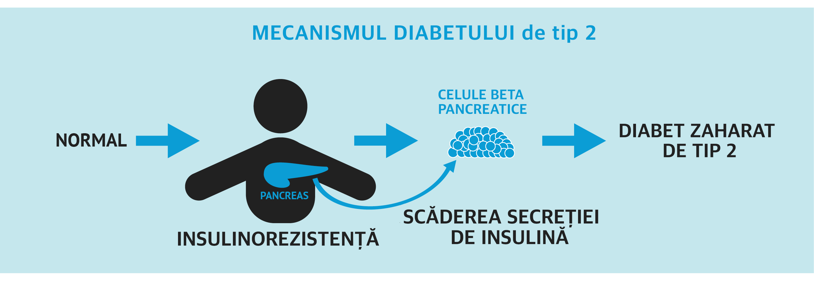 Mecanismul diabetului de tip 2